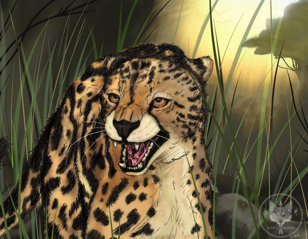 Cheetah Scene Practice Cheetah Scene Practice