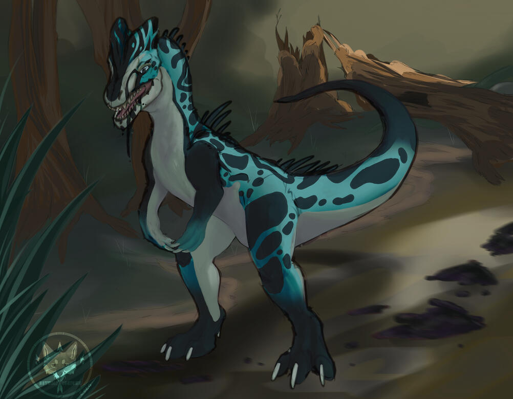 Spencer Sketchy Illustration Spencer Sketchy Illustration