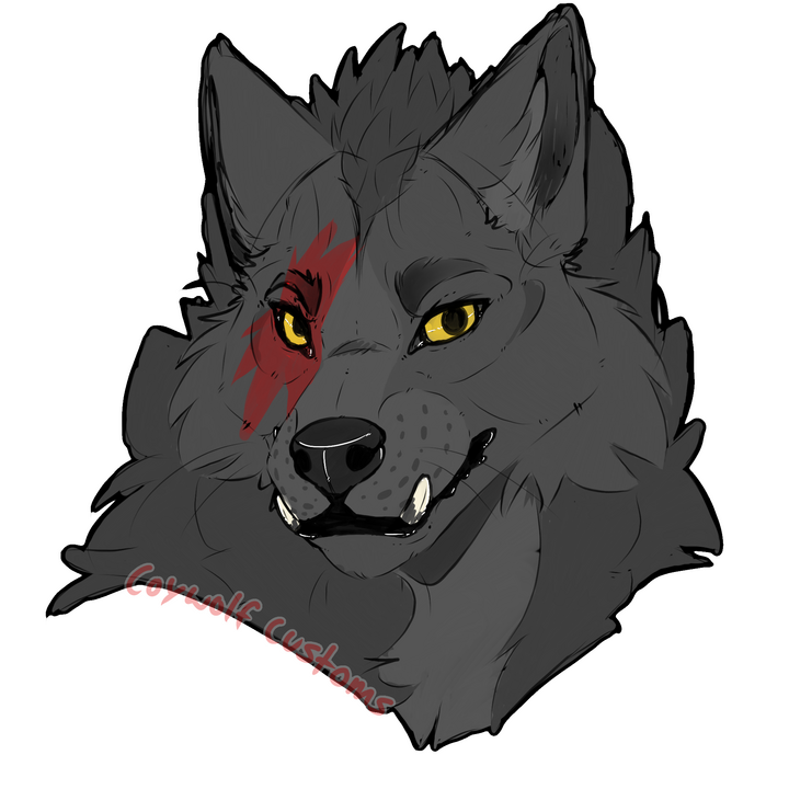 Kanis - 2025 Kanis - 2025