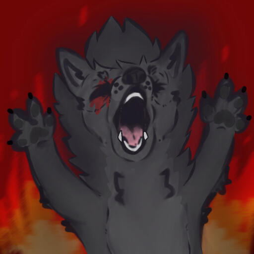 Kanis - Ash baby Kanis - Ash baby