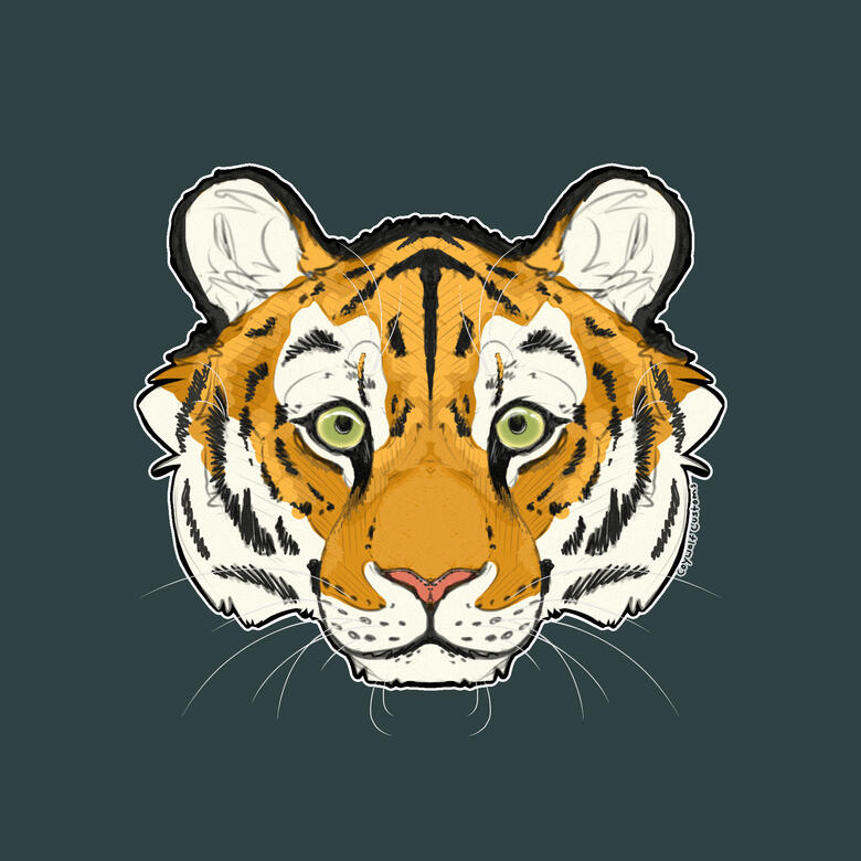 Tiger Warmup Doodle - 2025
