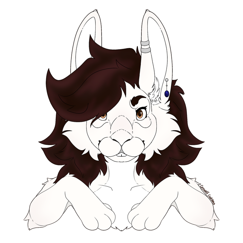 Bookie With Paws - 2025 Bookie With Paws - 2025